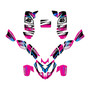 polaris predator500 graphics kit 2002-2007 division series magenta
