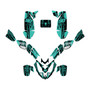polaris predator500 graphics kit 2002-2007 future series teal-shift