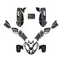 polaris predator500 graphics kit 2002-2007 rift series rainbow