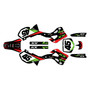 kawasaki kx250 graphics kit 1999-2002 division series red