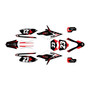 apollo rfz250 graphics kit all years evader series red