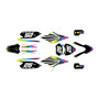 apollo rfz250 graphics kit all years fh series rainbow