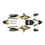 apollo rfz250 graphics kit all years guard series gold