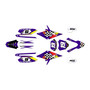 apollo rfz250 graphics kit all years pecker series purple