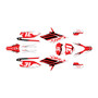 apollo rfz250 graphics kit all years usa series red