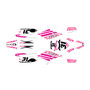apollo rfz250 graphics kit all years usa series magenta
