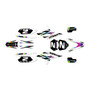 apollo rfz250 graphics kit all years vizion series rainbow