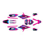 apollo rfz250 graphics kit all years warrior series magenta