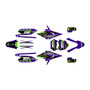apollo rfz250 graphics kit all years warrior series purple