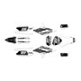 apollo rfz250 graphics kit all years warrior series white