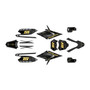 apollo rfz250 graphics kit all years warrior series gold