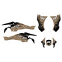 canam ds450 graphics kit 2008-2015 fracture series tan