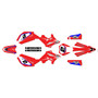 beta rr50 graphics kit 2011-2020 flight series red