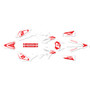 beta rr50 graphics kit 2011-2020 flight series red-shift
