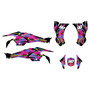 canam ds450 graphics kit 2008-2015 retro series magenta