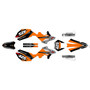 beta rr50 graphics kit 2011-2020 screech series orange