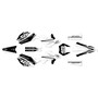 beta rr50 graphics kit 2011-2020 screech series white