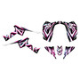 canam ds70 graphics kit 2008-2022 vision series magenta