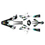 beta 390rr graphics kit 2018-2019 vision series rainbow