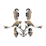 polaris outlaw525 graphics kit 2006-2008 shred series tan