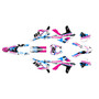 gasgas ec250f graphics kit 2012-2017 cloaked series magenta