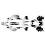 ktm 250excf graphics kit 2008-2011 bold series white