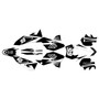 ktm 250excf graphics kit 2008-2011 speed series white
