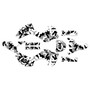honda crf300f graphics kit 2025-2026 invasion series white