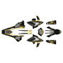 beta 300rr graphics kit 2018-2019 guard series gold