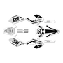 honda xr80-xr100 graphics kit 2001-2003 evo series white