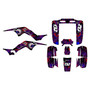 Graphics Kit for Honda TRX250R (All years) Core Series