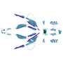 surron ultra-r graphics kit all years whiplash series teal