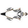 ssr sr160tr graphics kit 2021+ usa series tan