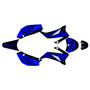 ssr sr160tr graphics kit 2021+ usa series blue-shift