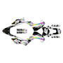 kawasaki klx140 graphics kit 2008-2018 whiplash series rainbow