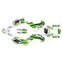 kawasaki klx140r graphics kit 2019-2026 whiplash series green