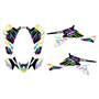 suzuki ltz400 graphics kit 2009-2014 raid series rainbow