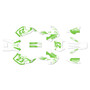 kawasaki klx300 graphics kit 1997-2008 evader series green-shift