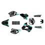 Graphics Kit for Kawasaki KX 80 (1998-2004) Division Series
