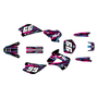 Graphics Kit for Kawasaki KX 80 (1998-2004) Prime Series