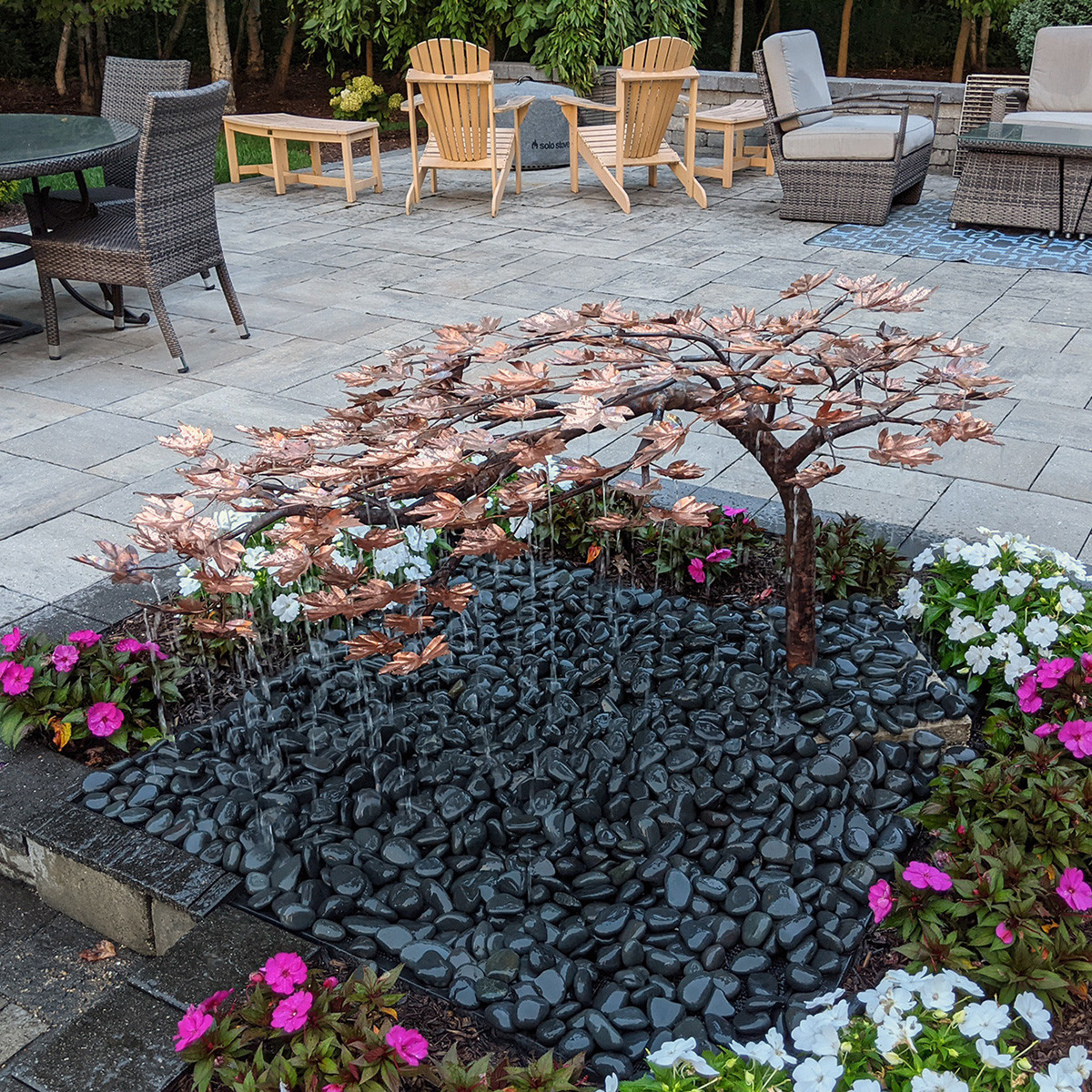 Blue Thumb Creeping Japanese Maple