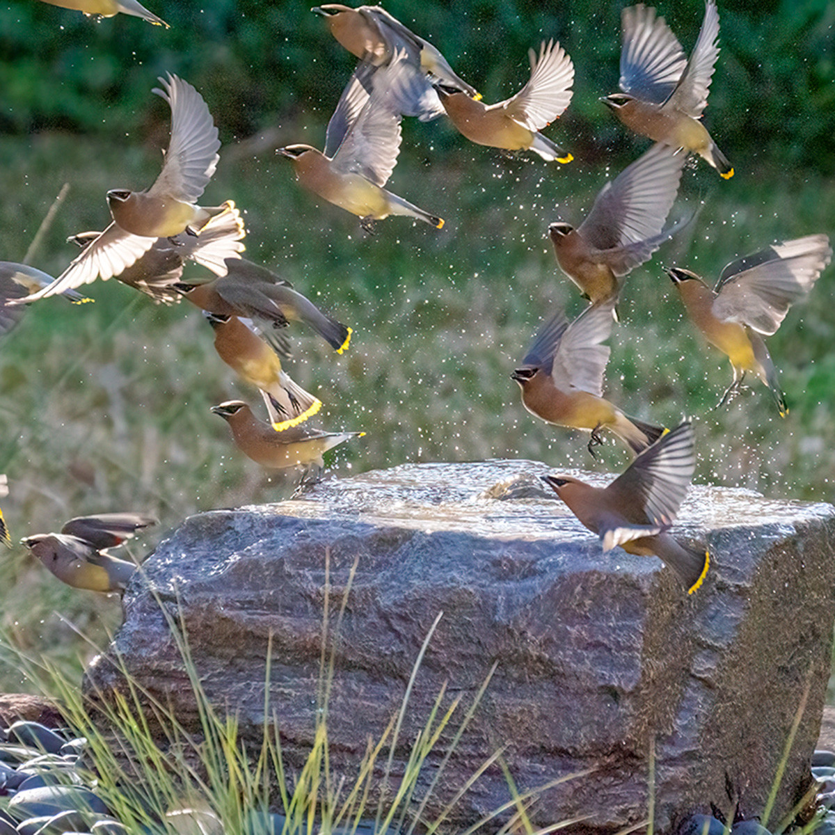 Medium Size Bird Bath Fountain Kit - Thumbnail 2