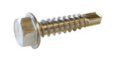 Self Tapping Screw