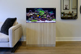 Aquarium 36" x 20" x 18" Acrylic Clear Aquarium AIO + 30" Cabinet