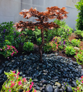 Japanese Maple Tree Fountain in a beautiful setting Japanese Maple Tree Fountain in a beautiful setting