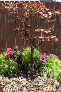 Fountains Extra Tall Oak - Complete Kit Fountains Extra Tall Oak - Complete Kit