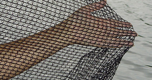 Pond Maintenance - Seasonal Deluxe Pond Netting Pond Maintenance - Seasonal Deluxe Pond Netting