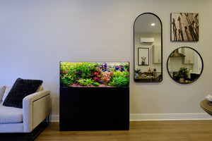 Aquarium 48" x 20" x 18" Acrylic Clear Aquarium + 30" Cabinet Aquarium 48" x 20" x 18" Acrylic Clear Aquarium + 30" Cabinet