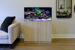 Aquarium 36" x 20" x 18" Acrylic Clear Aquarium AIO + 30" Cabinet Aquarium 36" x 20" x 18" Acrylic Clear Aquarium AIO + 30" Cabinet