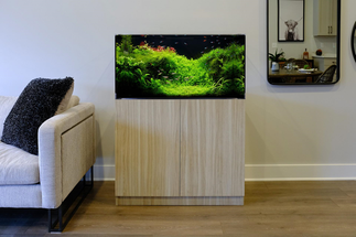 Why Investing in an Aquarium Kit Makes Sense for Homes and Clinics Alike